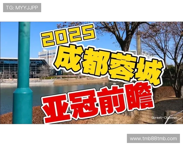 七年磨一剑：成都蓉城从三级跳迈向亚冠正赛